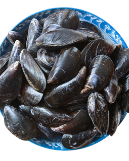 Cooked Canada blue mussels