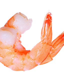 Frozen Shrimp Ecuador