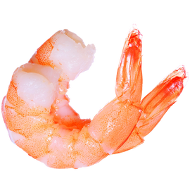 Frozen Shrimp Ecuador